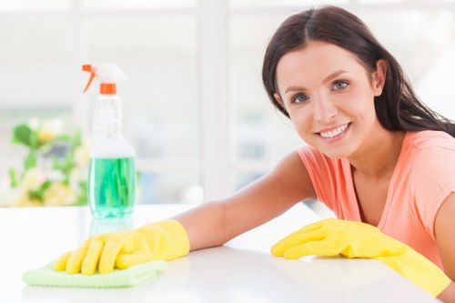 Carpet cleaning beginning in a comfortable living space