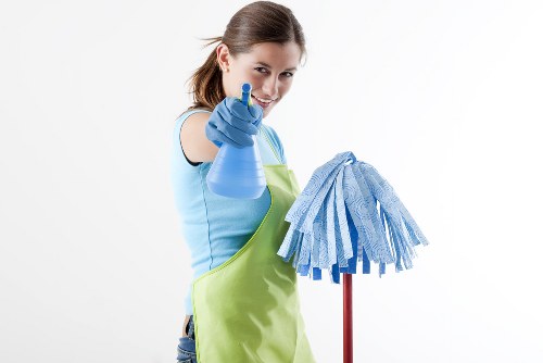 Accessible Seven Sisters carpet cleaners website with inclusive service information