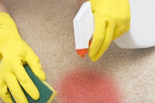 Customer raising a carpet cleaning complaint for review