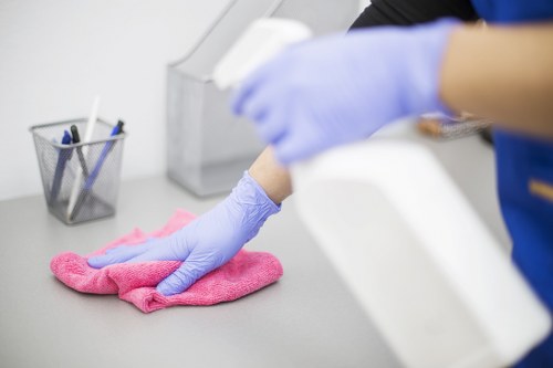 Close-up of a rug being inspected for cleaning needs in Seven Sisters