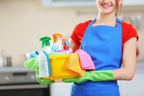 Professional stain removal in Seven Sisters for carpets and upholstery