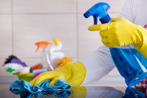 Professional pet stain odour removal in a Seven Sisters home