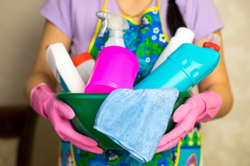Deep upholstery cleaning process for a living room sofa in Seven Sisters