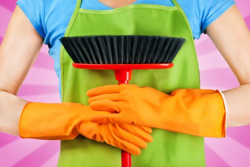 Seven Sisters Carpet Cleaners delivering thorough carpet maintenance