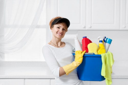 Deep carpet cleaning machine in Seven Sisters living room