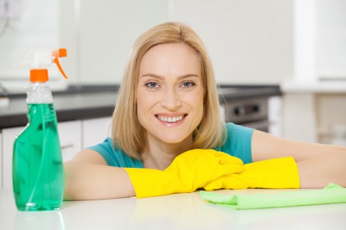 Professional carpet cleaning equipment checked for safe operation