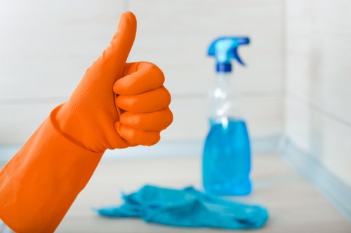Deep cleaning treatment for stubborn pet stains and smells