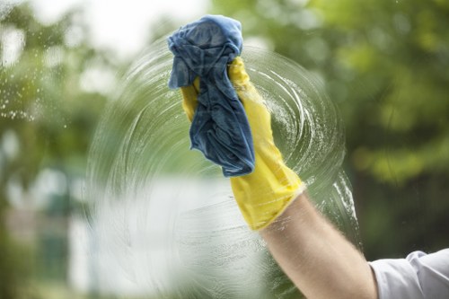 Professional carpet care in a busy home or office area