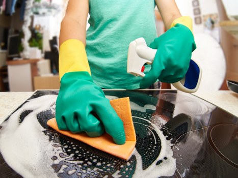 Carpet and upholstery cleaning for pet odours in Seven Sisters