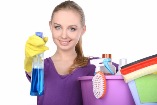 Fabric and carpet stain cleaning service in Seven Sisters