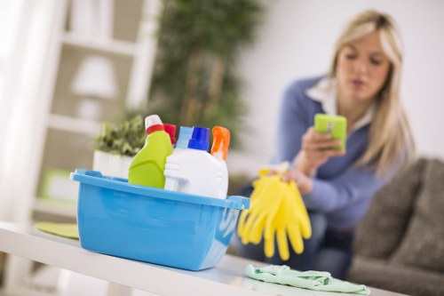 Keyboard navigation and accessible content on a Seven Sisters cleaning website